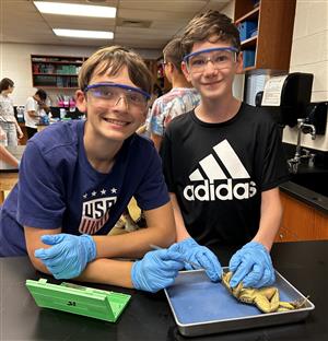 7th grade science dissection 2025 19.jpg